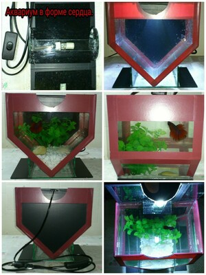 Мини - аквариум в форме сердца. - 80 000 сум / шт.