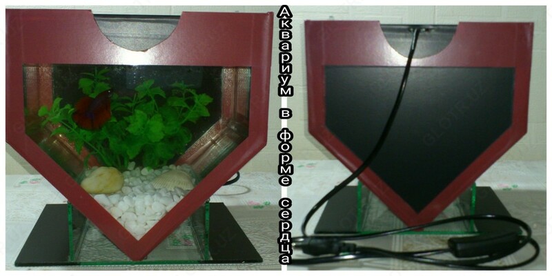 от {0} сум Мини - аквариум в форме сердца.