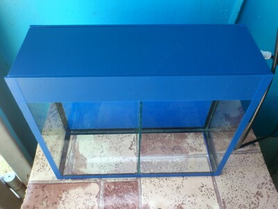 Мини-аквариум с лампой и съёмной перегородкой. - 45 000 сум / шт.