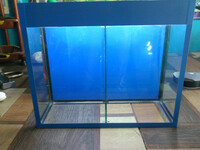 Мини-аквариум с лампой и съёмной перегородкой. Оптом и розница