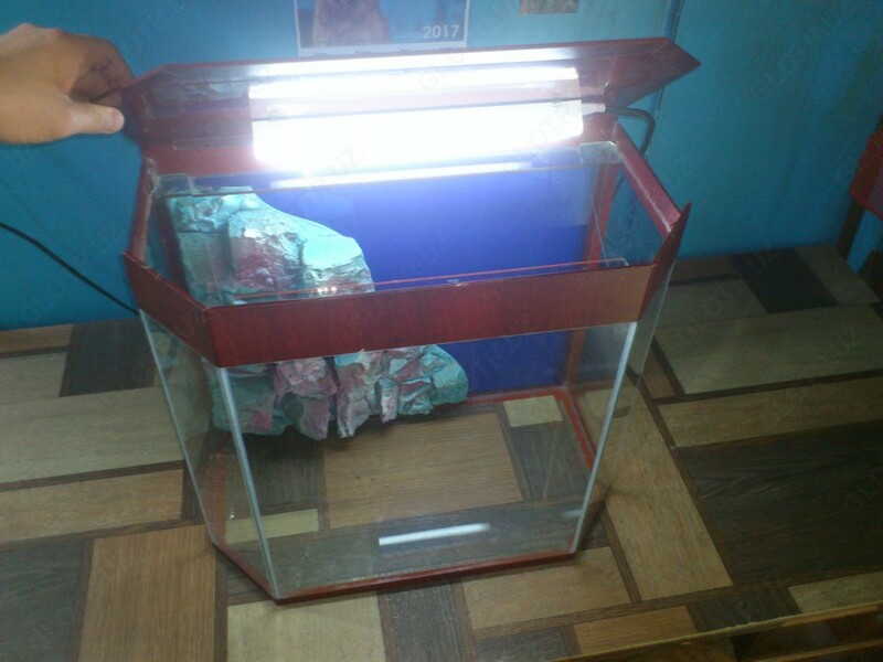 Шестиугольный аквариум. - от {0} сум