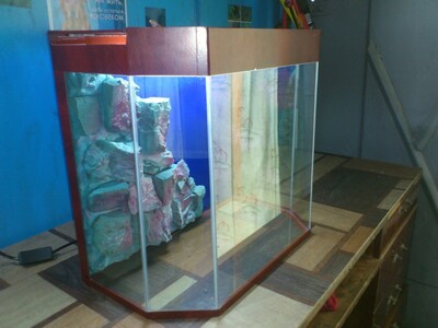 150 000 сум / шт. Шестиугольный аквариум.