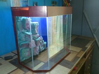 от {0} сум Шестиугольный аквариум.