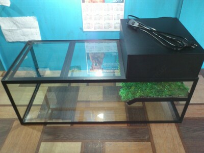 Аква-террариум с островком.