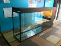 от {0} сум Аквариум со съёмными перегородками.(переноска)