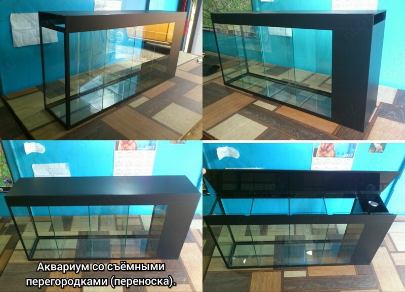 Аквариум со съёмными перегородками.(переноска)