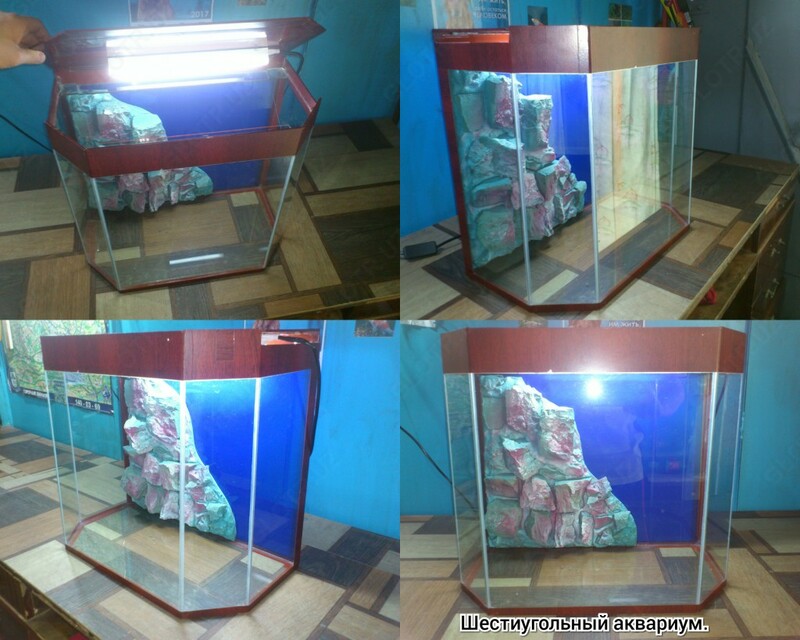 Шестиугольный аквариум.