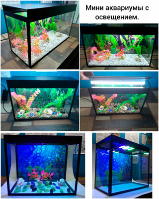 Мини-аквариумы с освещением.