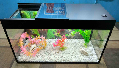 Мини-аквариумы с освещением. Оптом и розница