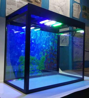 Мини-аквариумы с освещением. - от 30 000 сум / шт.