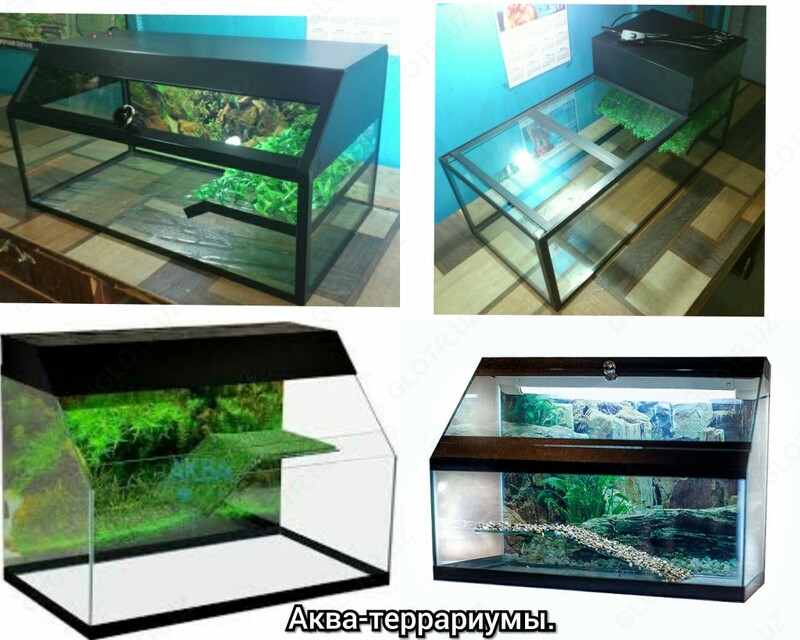Акватеррариум для водяных черепах