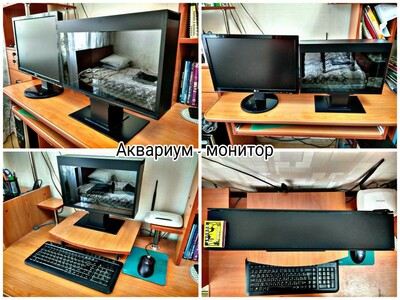 Аквариум в форме монитора.