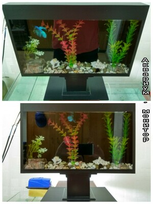 Аквариум в форме монитора. - 80 000 сум / шт.