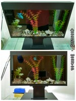 Аквариум в форме монитора. - от {0} сум