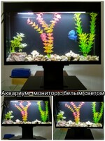 от {0} сум Аквариум в форме монитора.