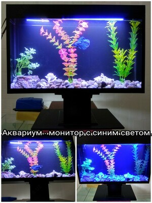 Аквариум в форме монитора. Оптом и розница