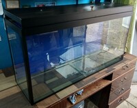 от {0} сум Аквариум на 150 литров с крышкой и L.E.D. лампой.