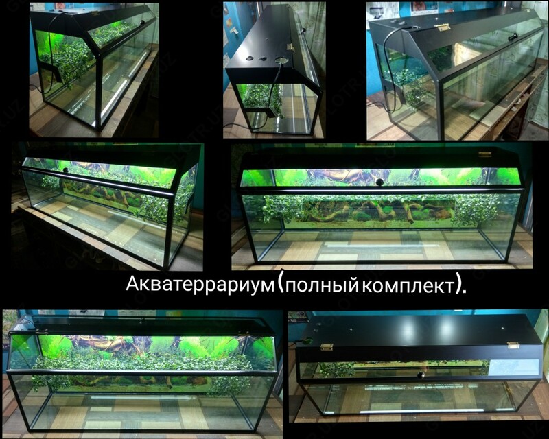 Аква-террариум в полной или частичной комплектации.