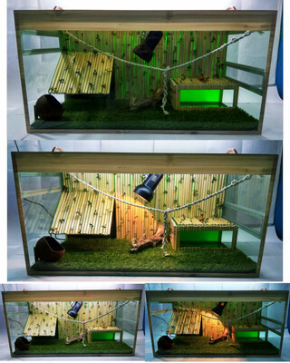 Террариум модель № 3 (полный комплект). - 1 200 000 сум / комплект