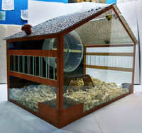 Террариум для грызунов модель № 2 (в форме дома). - от {0} сум