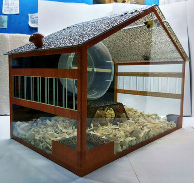 Террариум для грызунов модель № 2 (в форме дома). - 180 000 so'm / to'plam