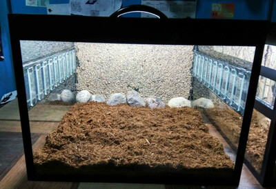 Террариум модель № 3 (02). - 180 000 сум / шт.