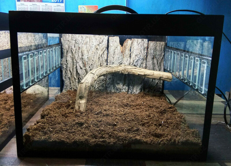 Террариум модель № 3 (03). - от {0} сум