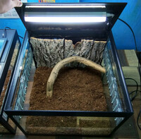 от {0} сум Террариум модель № 3 (03).