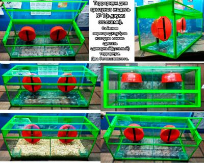 Террариум для грызунов модель № 1.(с двумя отсеками).
