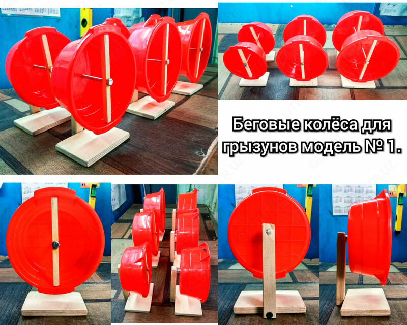 Беговые колёса для грызунов.