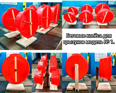 Беговые колёса для грызунов.