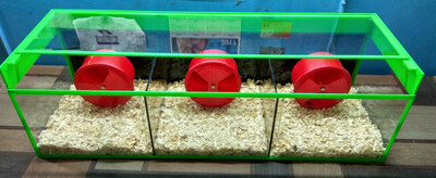 Террариум для грызунов модель № 1.(с тремя отсеками). - 135 000 so'm / dona