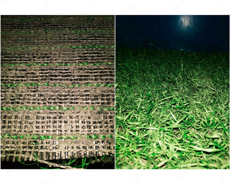 {0} so'mdan Искусственный газон для оформления живых уголков.