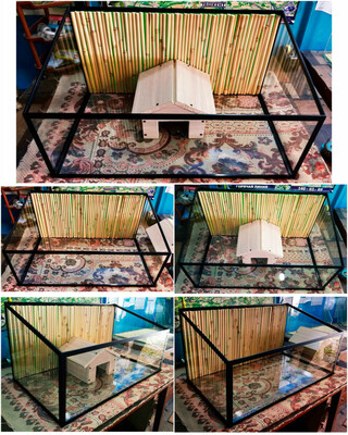 Террариум простой(02)с оформлением.