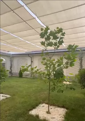  Теневая сетка - 