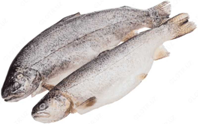 Rainbow xonbaliq (ichi bosh  boshi muzlatilgan)