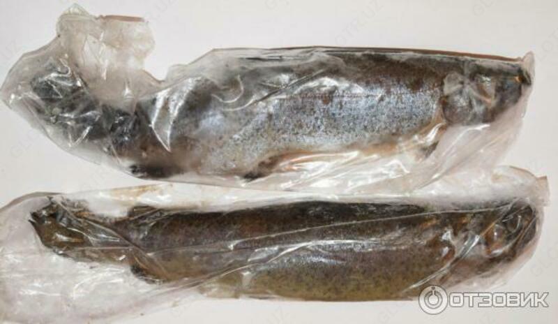 Радужная форель (потрошеная  замороженная в вакуумной упаковке)