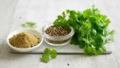 Кориандр - 1 440 сум / шт.