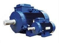 Электродвигатель Только в розницу