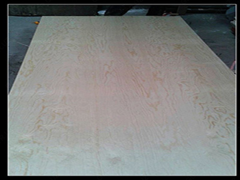 Kontrplak ЧП “EVEREST TRADING GROUP”