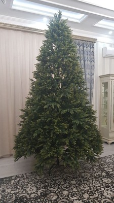 Rojdestvo daraxtlari