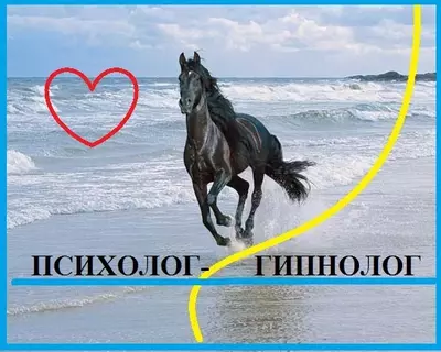 Психолог. Гипнолог. Консультации, лечение, гипноз. Бережно, профессионально