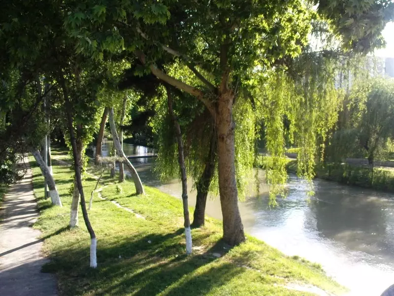 гипноз. Бережно