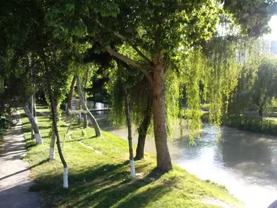 Психолог. Гипнолог. Консультации, лечение, гипноз. Бережно, профессионально