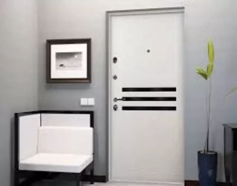 Metall eshiklar po‘lat temir eshiklar - Kirish eshiklari