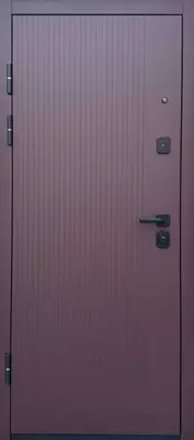 Китайские входные двери №547