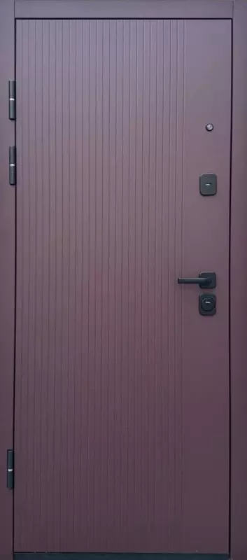 Китайские входные двери №547