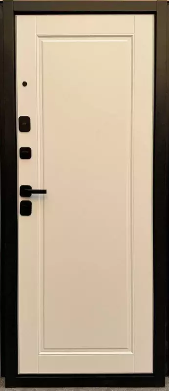 Китайские входные двери №545 - 4 000 000 сум