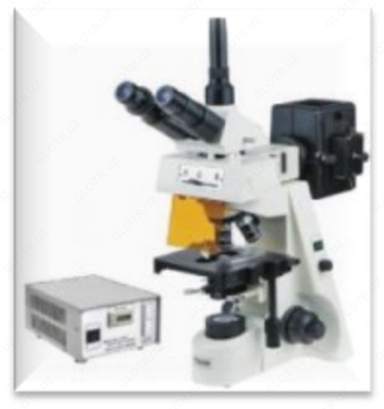 Люминесцентный микроскоп прямой лабораторный "БиОптик А-300 FL"