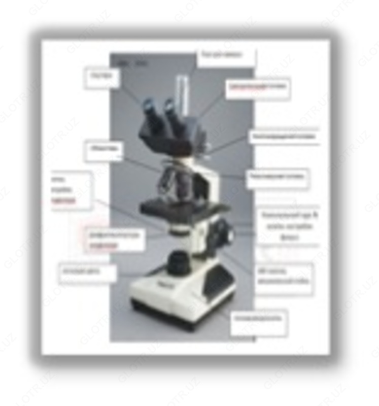 Микроскоп тринокулярный модель KXL-2001  (с 5 мп цифровой камерой)